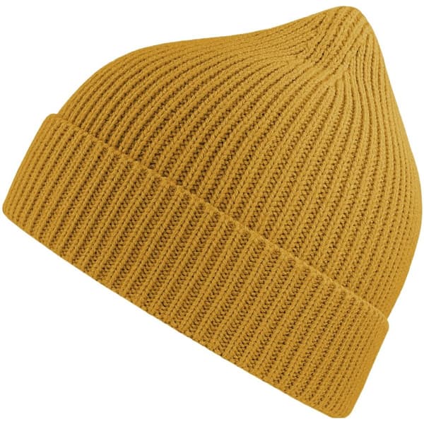 Atlantis Unisex Adult Andy Recycled Polyester Beanie