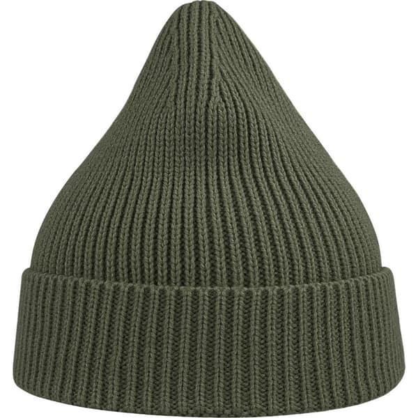 Atlantis Unisex Adult Andy Recycled Polyester Beanie