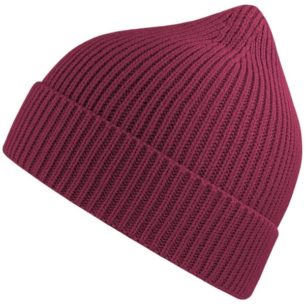 Atlantis Unisex Adult Andy Recycled Polyester Beanie