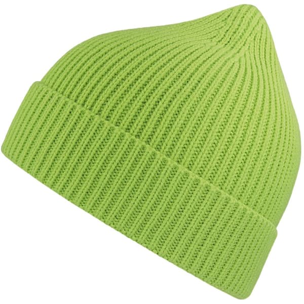 Atlantis Unisex Adult Andy Recycled Polyester Beanie