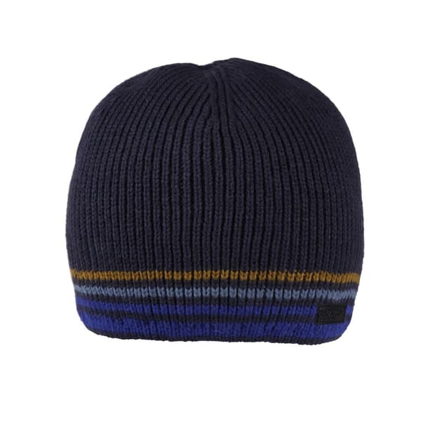 Regatta Mens Balton IV Striped Beanie