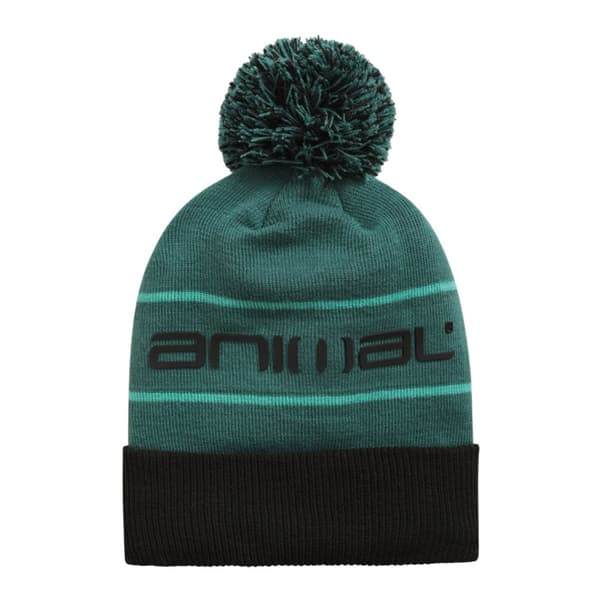 Animal Dylan Pom Pom Recycled Skiing Beanie Green One Size