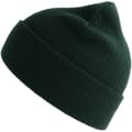 Miniatyrbillede 1 af 3: Atlantis Unisex Adult Rio Ribbed Recycled Beanie