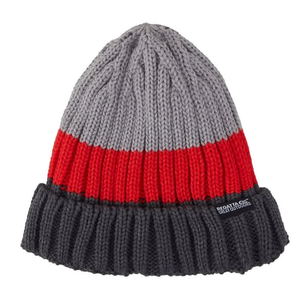 Regatta Davion V Beanie för herrar