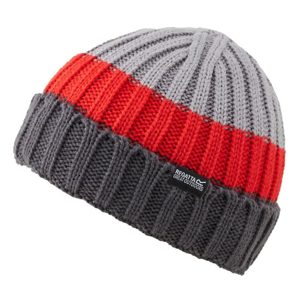 Regatta Davion V Beanie för herrar