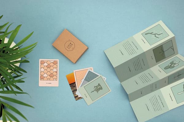 Kort The oracle tarot Calm Club
