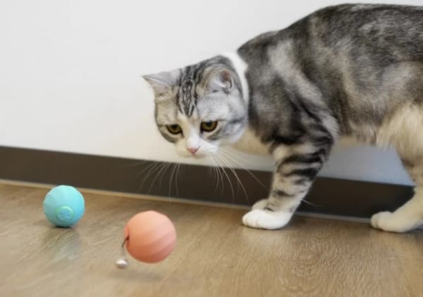 DoggyVillage Ball for veldig små hunder og katter Doggy Village MT7111B FRANTIC ORB MINI interaktiv, bevegelig, blå + gratis godbit
