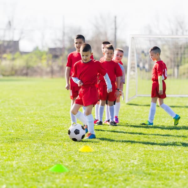Fodboldmål, 8x3x6 ft, Hvid