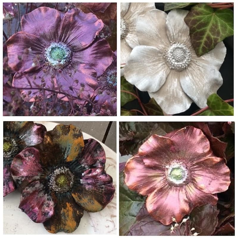 Mold - Anemone