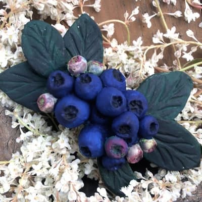 Mold - Blueberry A