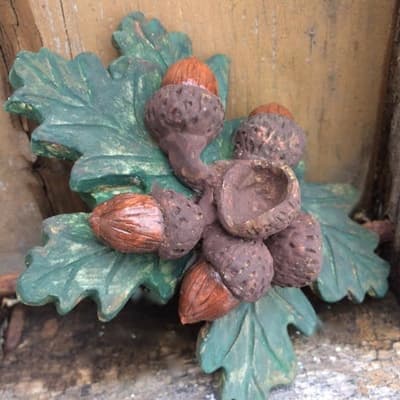 Mold - Acorns B
