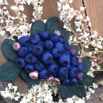 Mold - Blueberry B