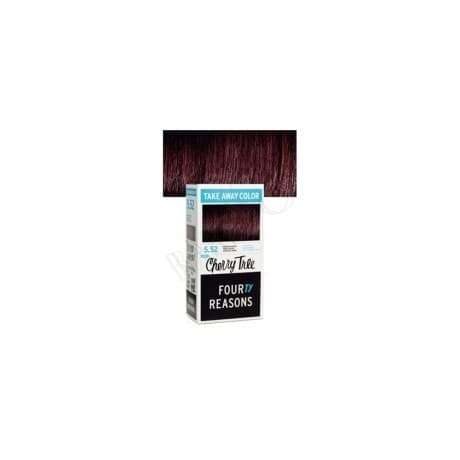 KC Professional Four Reasons Take Away Color 100ml