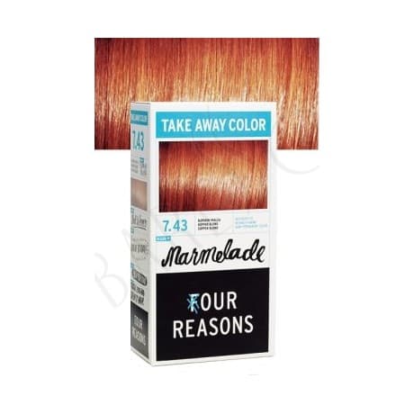 KC Professional Four Reasons Take Away Color 100ml
