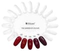 Miniatyrbild 9 av 11: Silcare - Garden of Colour - Nagellack - 107A - 15 ml
