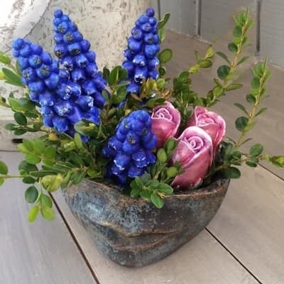 Mold - Pearl Hyacinth