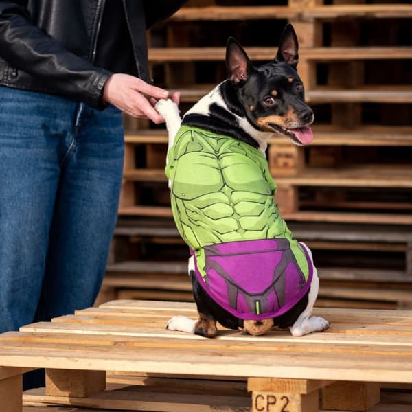Hundt-shirt med The Avengers-tema för din fyrbenta hjälte. Ge din hund en cool och unik stil med denna t-shirt!