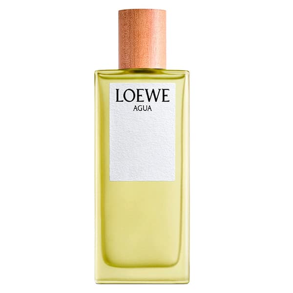 Loewe Agua Eau de Toilette, 100 ml