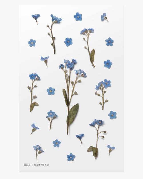Dekorativa Klistermärken Blommor Förgätmigej