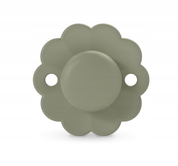 Suavinex Smoczek SX Pro Wonder, fysiologisk 0-6m, Hedge Green, 1 stk