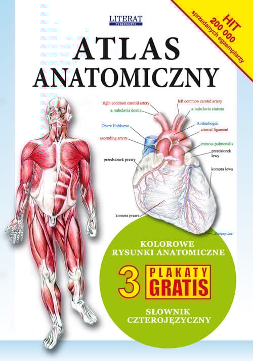 Anatomisk Atlas til Detaljeret Studier