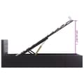 Miniatyrbillede 11 af 11: vidaXL hydraulisk opbevaringsseng 100 x 200 cm kunstlæder sort