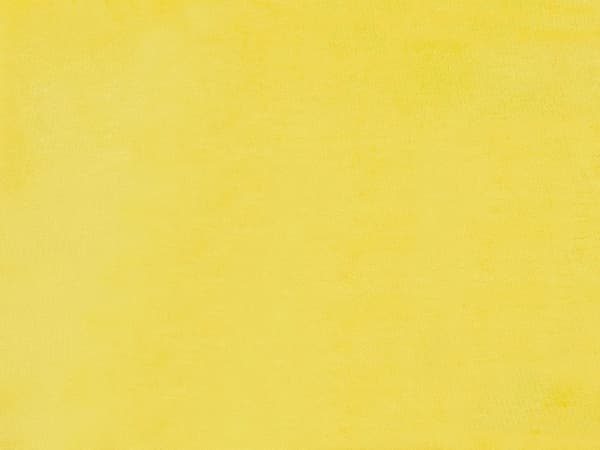 Parisänky keltainen 160 x 200 cm samettiverhoilu sälepohja irrotettava päällinen minimalistinen
