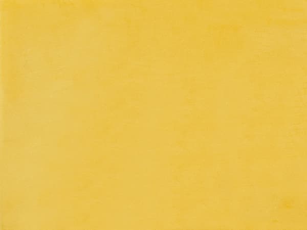 Dobbeltseng Gul Fløyel 180 x 200 cm Lamellramme Moderne Klassisk Glamour