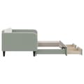 Miniatyrbillede 3 af 11: vidaXL daybed med udtræk og skuffer 90x190 cm velour lysegrå