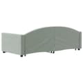 Miniatyrbillede 5 af 9: vidaXL daybed med udtræk 90x190 cm velour lysegrå