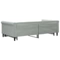 Miniatyrbillede 5 af 11: vidaXL daybed med udtræk 100x200 cm velour lysegrå