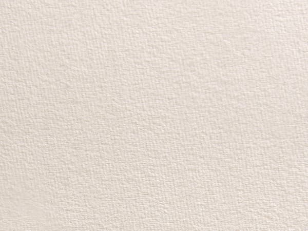 Säng Beige Sammet Stoppad Ram Nackstöd 90 x 200 cm Enkel Storlek Sovrum Barnrum Modern Traditionell