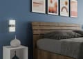 Miniatyrbild 6 av 6: Lit coffre - Ityhome - Ankel - 160x200 cm - Lutande huvudgavel - Valnötsträ