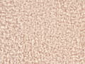 Miniatyrbillede 11 af 11: Seng Beige Boucle 140 x 200 cm Vandseng Moderne Blød Polstret Dobbeltseng med Sengegavl Soveværelse Inspiration Kvalitetsseng Vandmadras