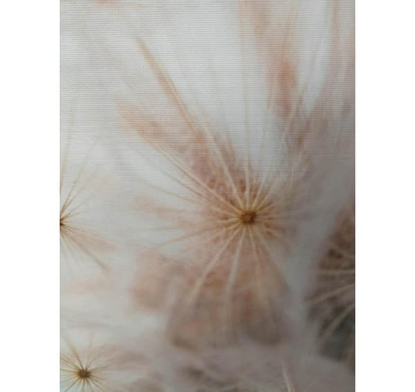 Wall art WALLY 45x60cm, dandelion
