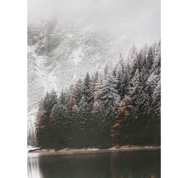 Wall art WALLY 60x80cm, snowy landscape