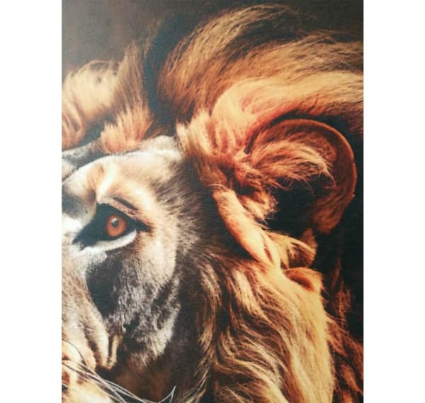 Veggkunst WALLY 50x70cm, løve