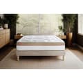 Miniatyrbild 2 av 6: Pack madrass LE COSY 200x200cm Minnesskum - Tjocklek 30cm + sänggavel kit Beige