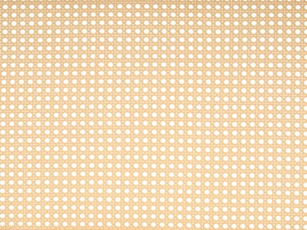 Dobbeltseng 160 x 200 cm Svart Jern Lamellramme PE Rotting Wiener Flettet Hodegjerde Moderne