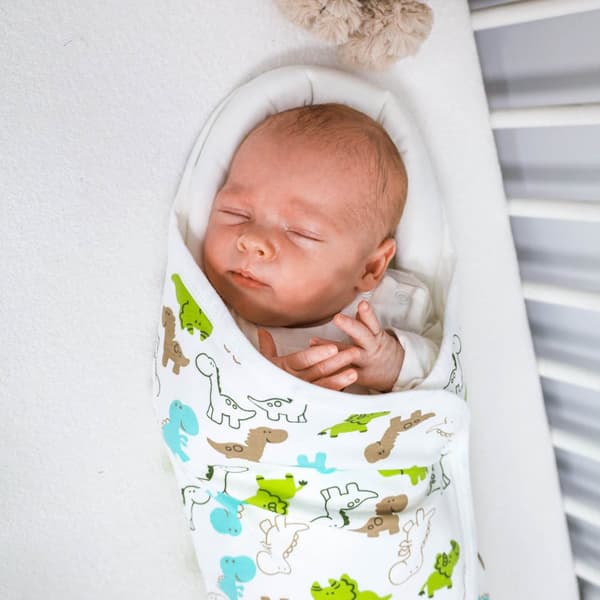 Swaddle Peitto Swaddle Cotton Dino