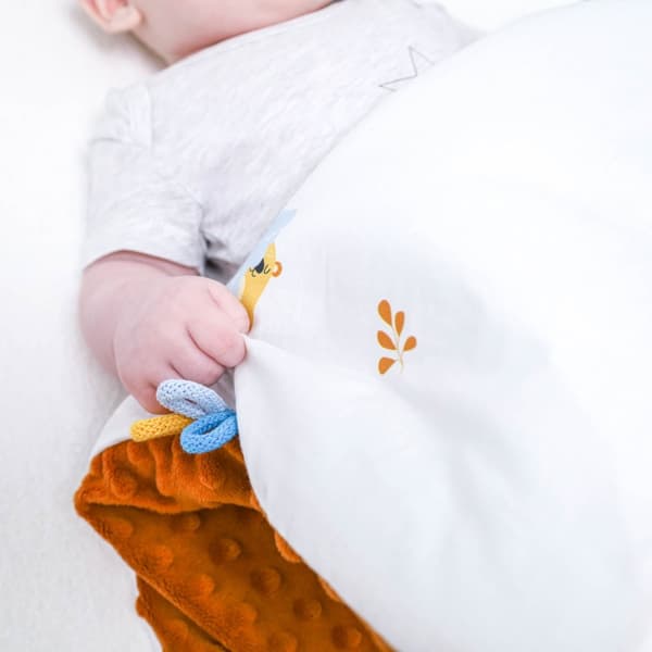 Barnvagnsfilt Baby Winter med Minky 75x100 cm - Barnfilt Gosfilt Barnvagnsfilt Newborn Babyfilt Nallar