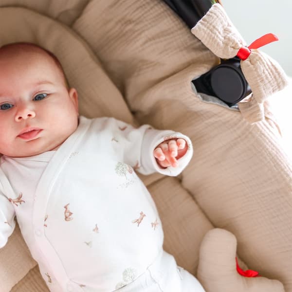 Kant för barnvagnar - överdrag till babybadbo barnvagnstillbehör set 3 stycken med kudde och muslinmadrass