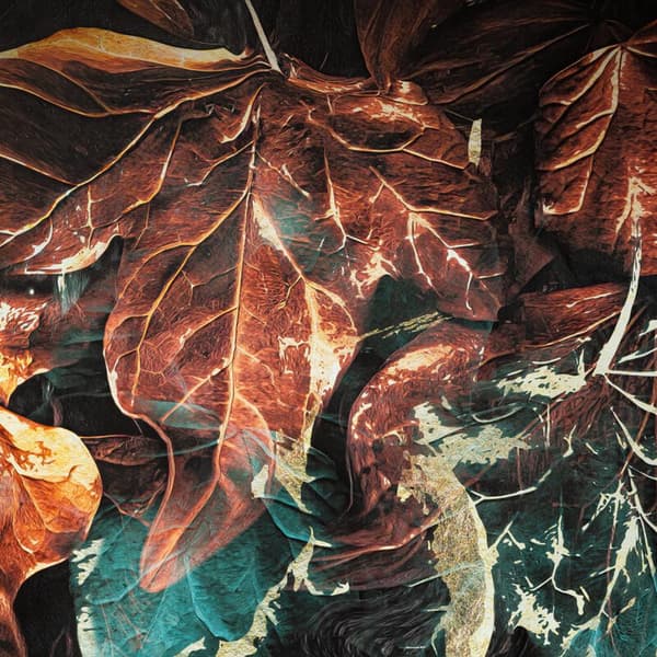 EVA 16 SENGETØJ 220 X 200 CM SORT