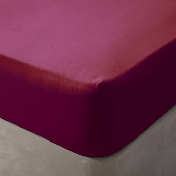 Belledorm Brushed Cotton Fitted Sheet