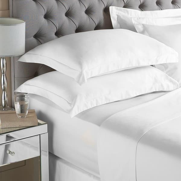Paoletti Cotton Fitted Sheet