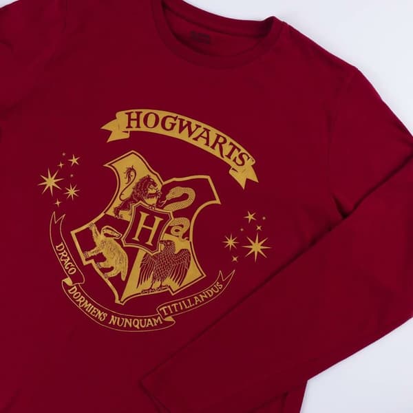 Nattøj Harry Potter Rød (Voksne) Mænd - XXL