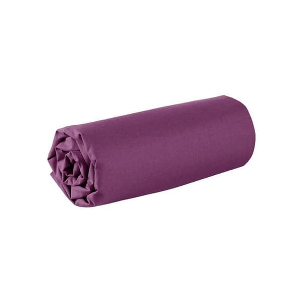 Drap housse - 100% bomull - 120 x 190 cm - 57 trådar - Lila - Enfärgad
