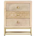 Miniatyrbilde 4 av 10: vidaXL Nattbord gull 40x30x50 cm heltre mango