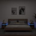 Miniatyrbillede 1 af 11: vidaXL sengeborde 2 stk. med LED-lys 40x39x48,5 cm røget egetræsfarve
