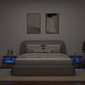 Pikkukuva 4 / 11: vidaXL Yöpöydät LED-valoilla 2 kpl savutammi 50x40x45 cm